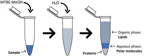 mtbe fat extraction method